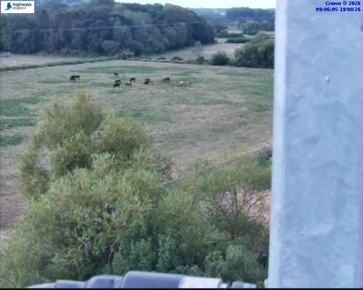 43896-1787130383.jpg