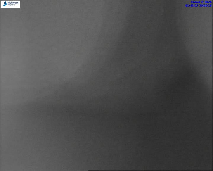 43818-1787107353.jpg