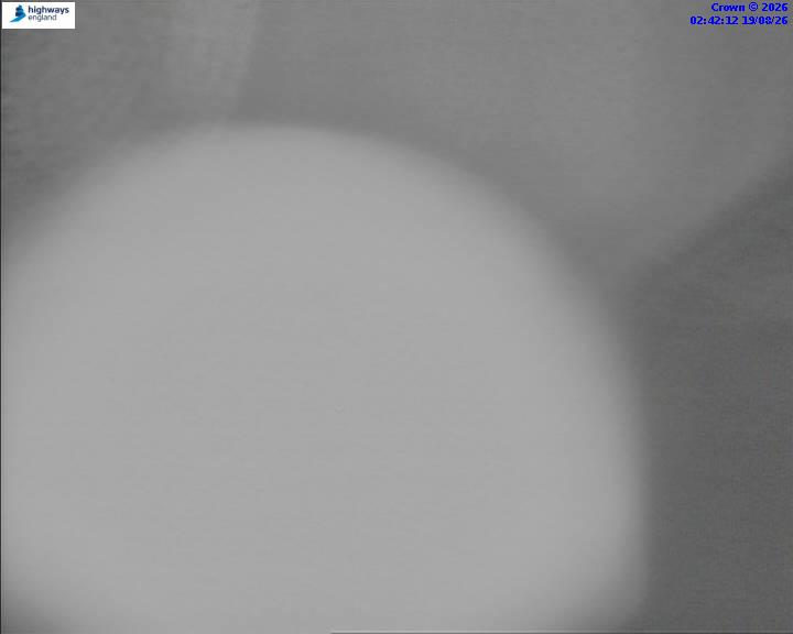 43870-1787107355.jpg