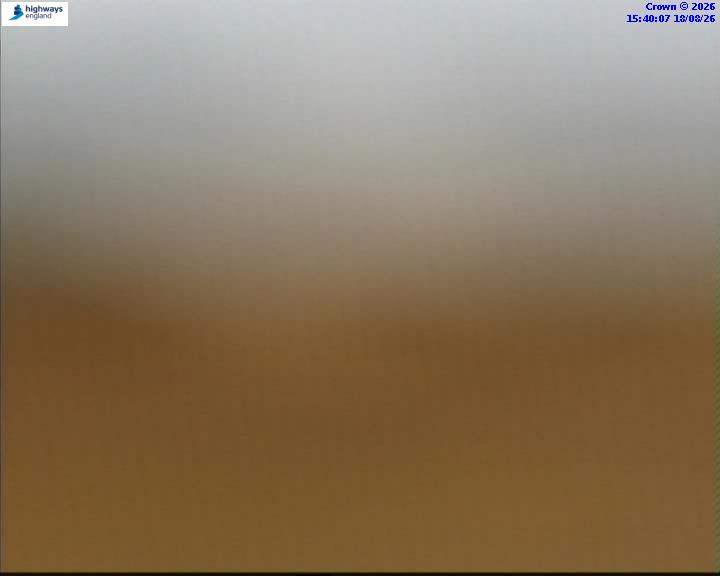 43568-1787067620.jpg