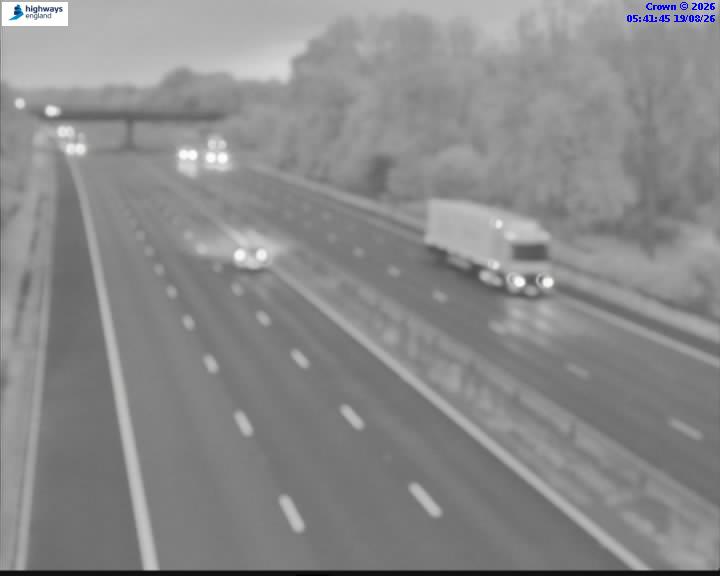 43555-1787118138.jpg