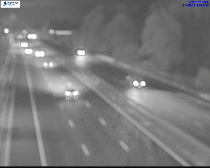 43555-1787177136.jpg
