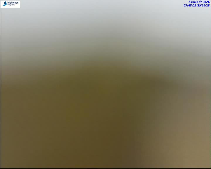 43526-1787123138.jpg