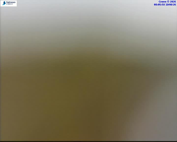 43526-1787126780.jpg