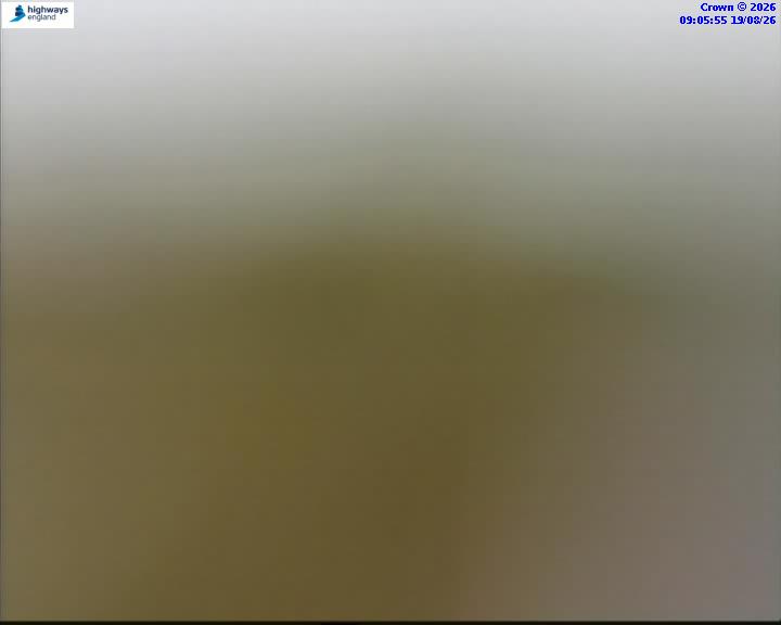 43526-1787130377.jpg