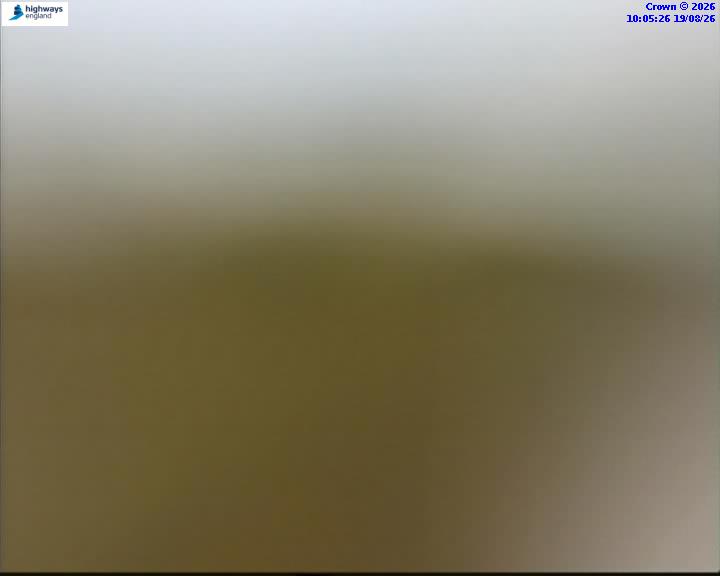 43526-1787133943.jpg