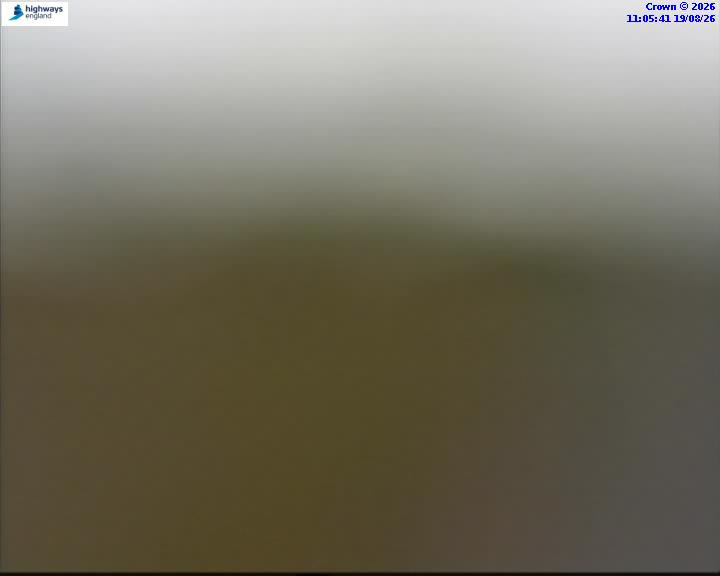 43526-1787137548.jpg
