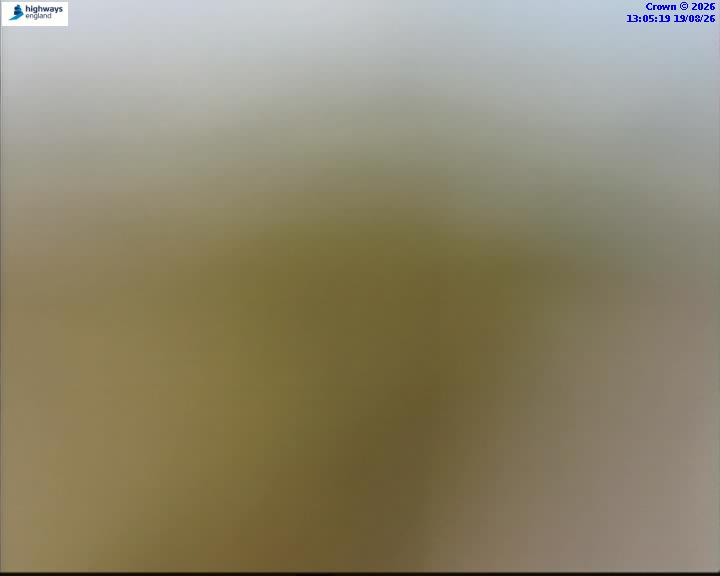 43526-1787144733.jpg