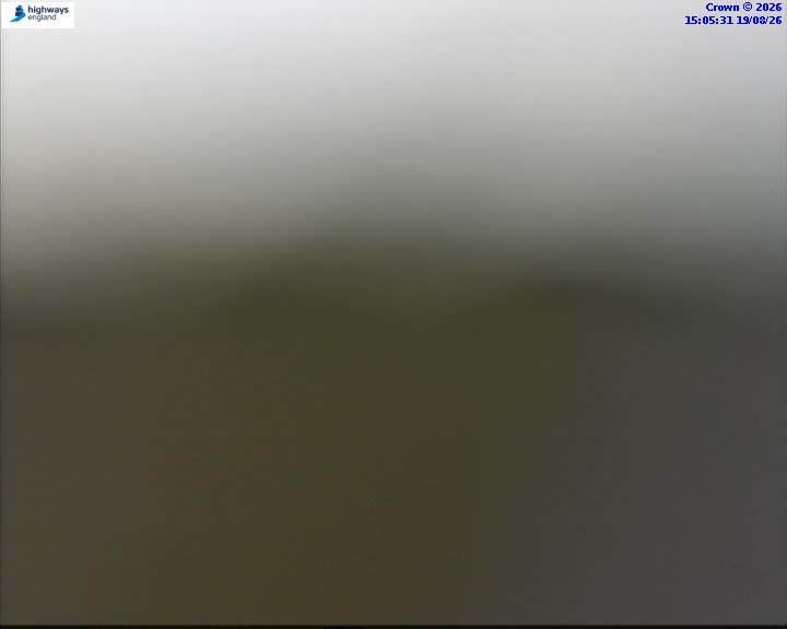43526-1787151940.jpg