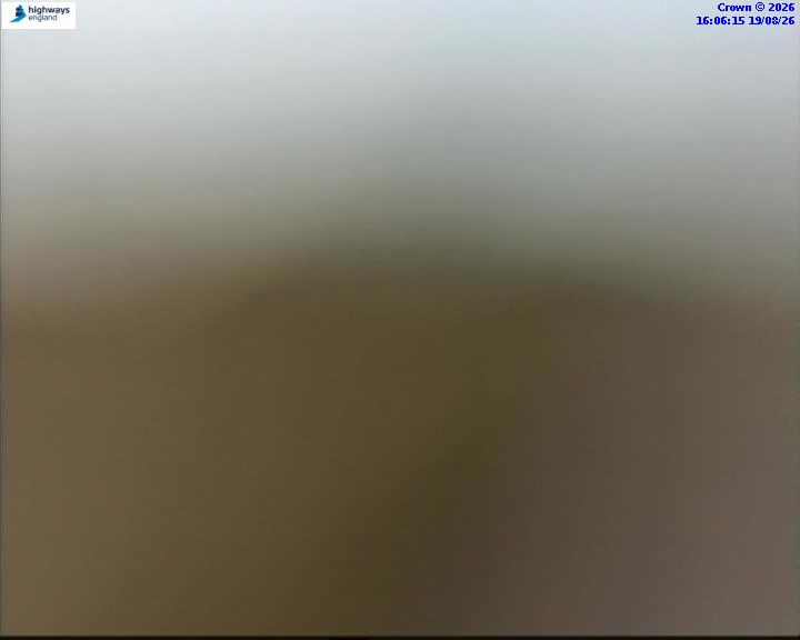 43526-1787155587.jpg