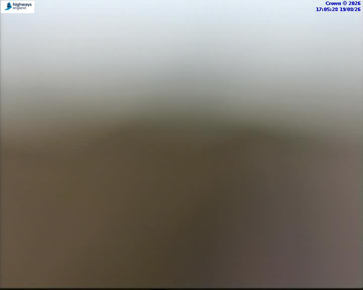 43526-1787159144.jpg