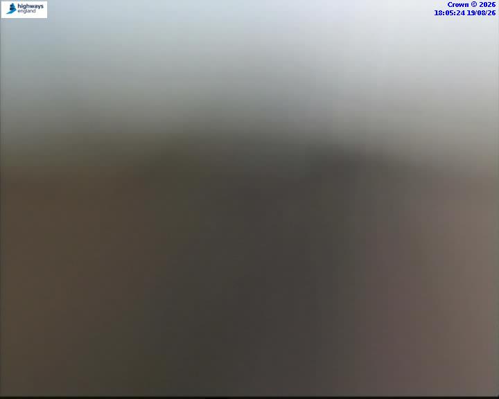 43526-1787162743.jpg