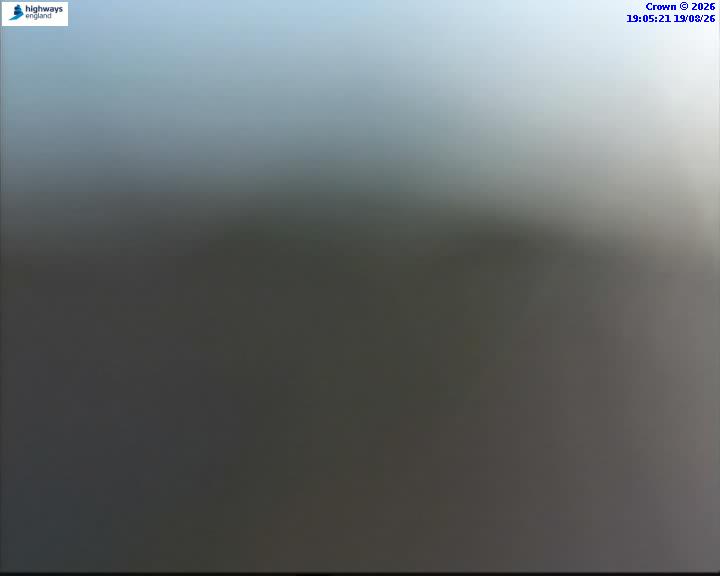 43526-1787166336.jpg