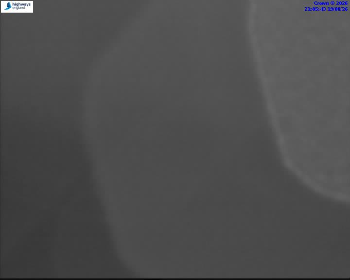 43526-1787173549.jpg