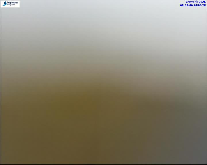 43526-1787206151.jpg