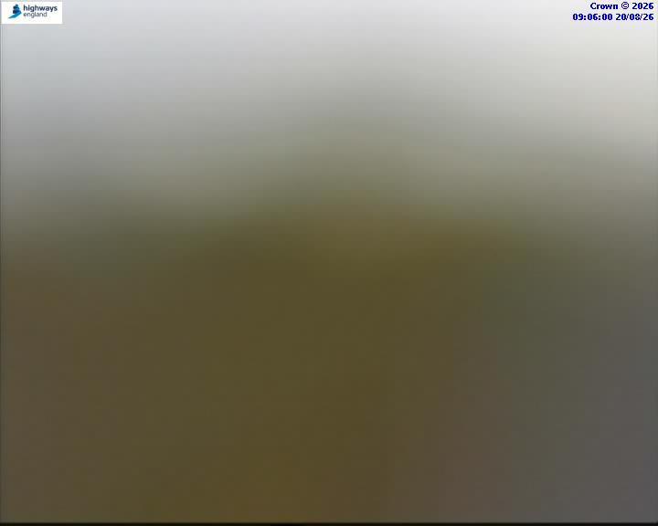 43526-1787216767.jpg