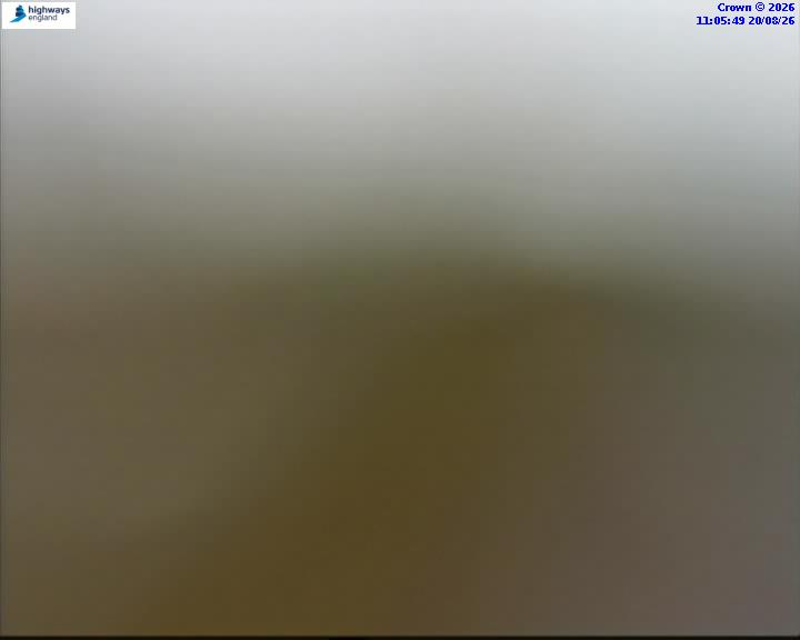 43526-1787223960.jpg