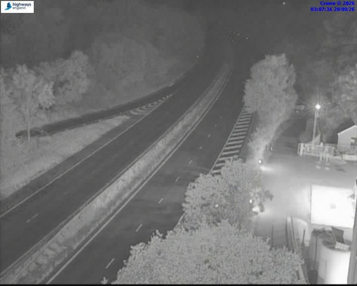 02175-1787195254.jpg