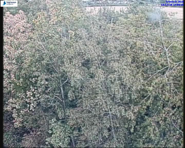 07519-1786996401.jpg