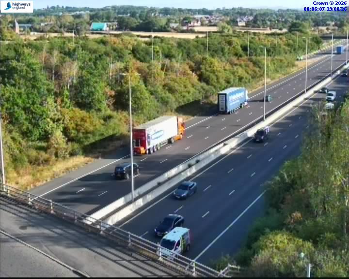 07490-1787126775.jpg