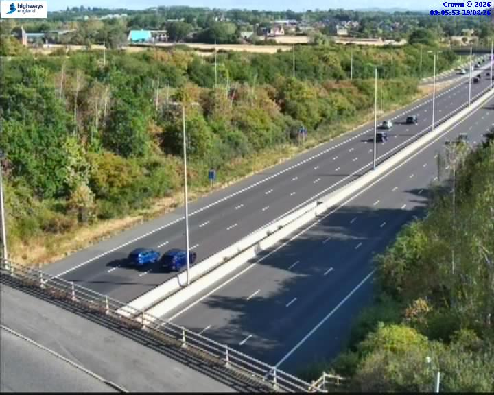 07490-1787130373.jpg