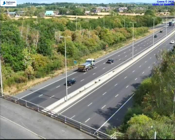 07490-1787137545.jpg