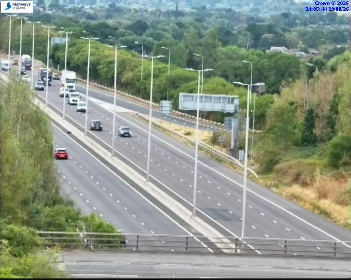 07490-1787148371.jpg