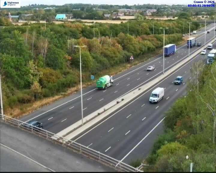 07490-1787209692.jpg