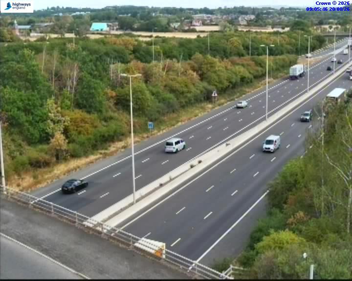 07490-1787216761.jpg