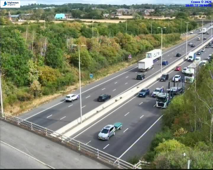 07490-1787220358.jpg