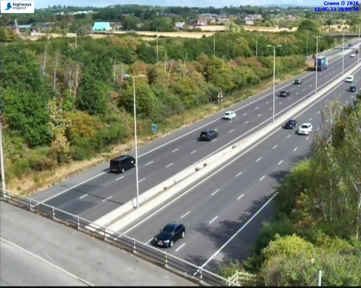 07490-1787223954.jpg