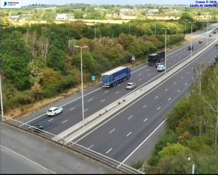07490-1787231161.jpg