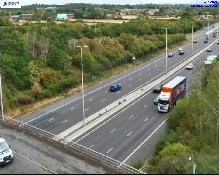 07490-1787235054.jpg