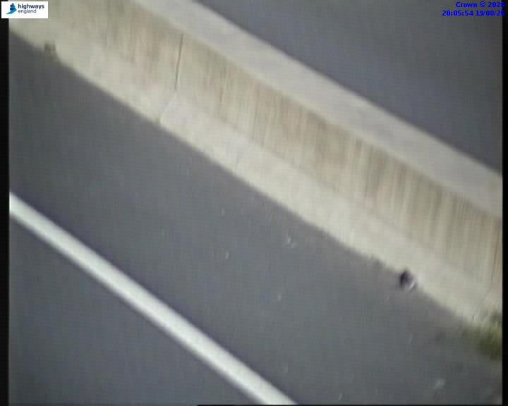07464-1787169956.jpg