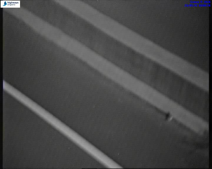 07464-1787173542.jpg