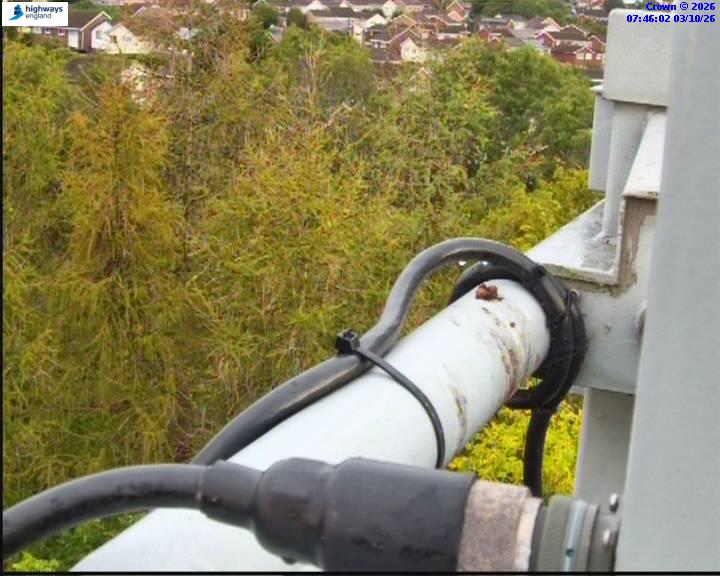 07386-1791013619.jpg