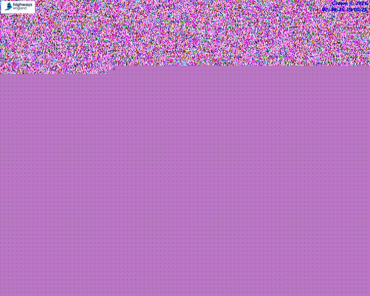 07375-1787107258.jpg