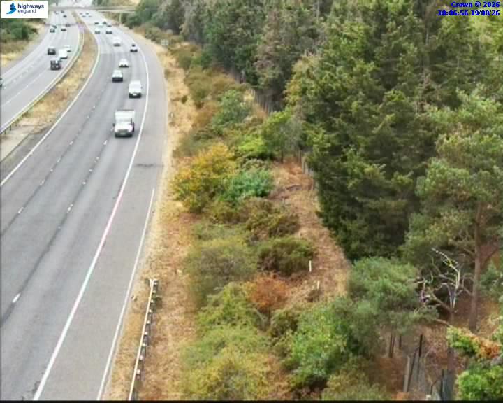Click for full screen live camera. A3 15085 A245-A244