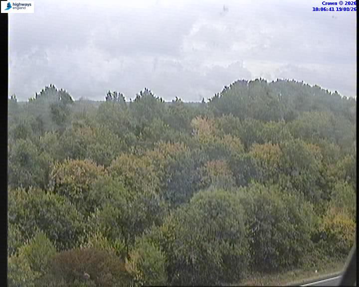 Click for full screen live camera. A3 15229 A320-A3100