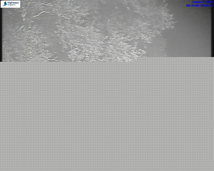 40460-1787099728.jpg