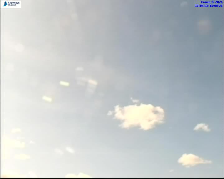 40207-1787159131.jpg