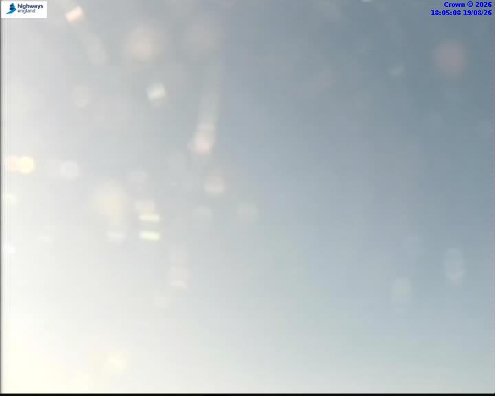 40207-1787162730.jpg