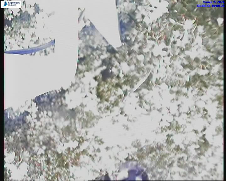 19148-1787152020.jpg