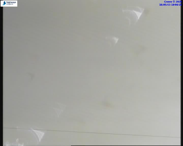 12156-1787155563.jpg