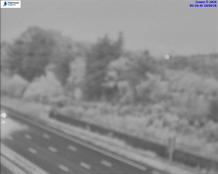 19235-1787117960.jpg