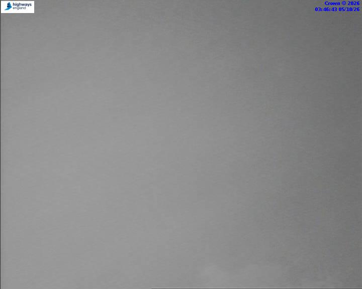 3:46 AM