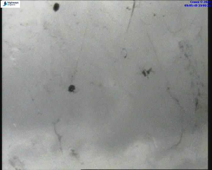 19493-1787130358.jpg