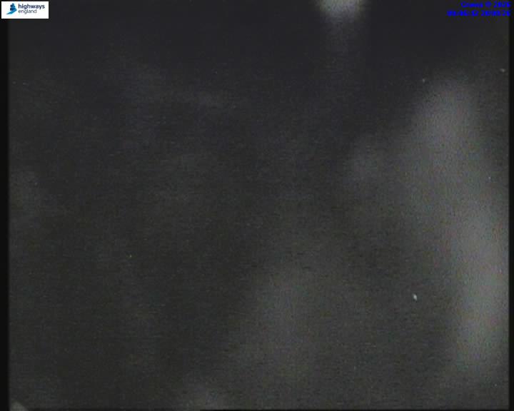 19493-1787184418.jpg