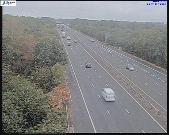 11558-1787130458.jpg