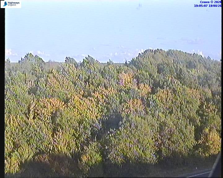 15229-1787166314.jpg